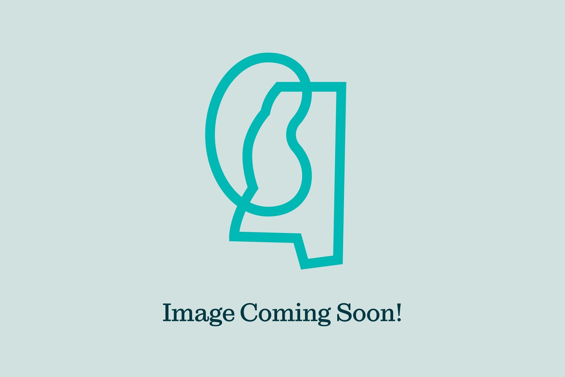 MS Image Coming Soon
