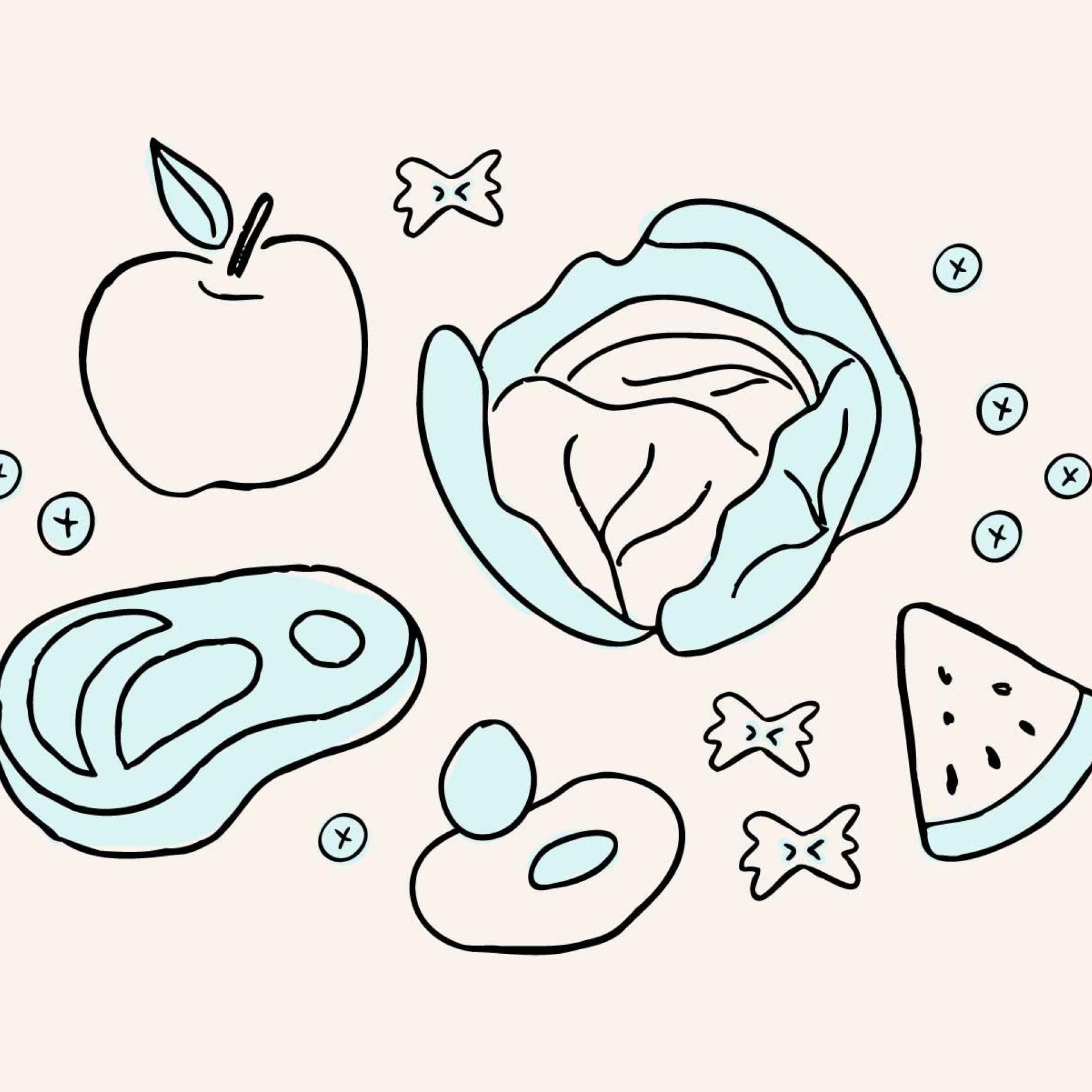 Graphic illustration of cabbage, protein, and fruit choices recommended by a nephrologist for proper nutrition.
